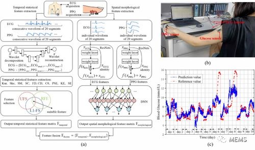 深圳先進(jìn)院在基于生理信息的無(wú)創(chuàng)血糖監(jiān)測(cè)技術(shù)方面取得新進(jìn)展